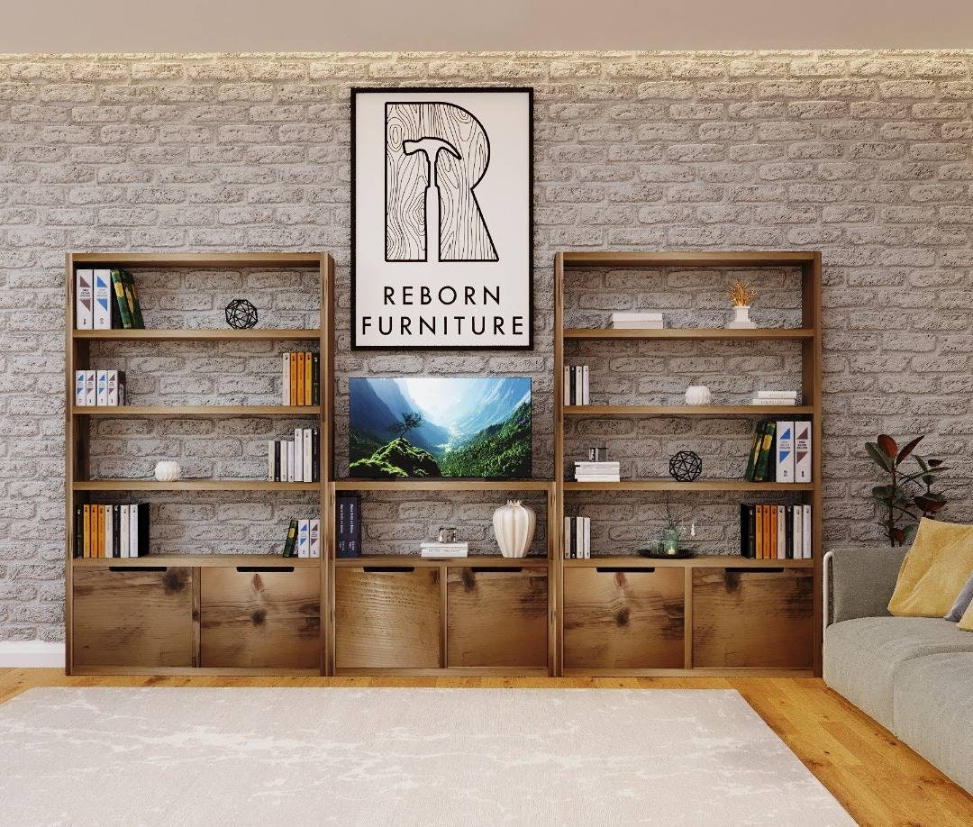 Reclaimed Wood Bookcase / Shelving Units and Tv combo (doors) – Reborn ...